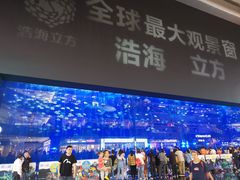 -成都浩海立方海洋公园