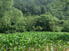 -仙居谷风景区