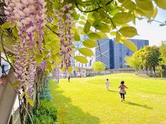 -硅谷蒙学幼儿园