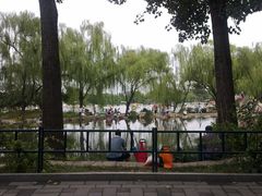 -紫竹院公园冰场