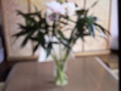 -浅深Cheersum(曹杨店)
