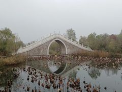 -南湖国家城市湿地公园