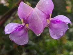 -泉州海丝野生动物世界