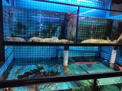 -吉友粥底火锅(方斜路店)