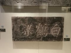 -白鹤梁水下博物馆