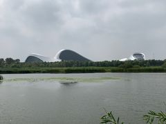 -哈尔滨大剧院