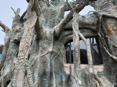 -帽儿山国家森林公园