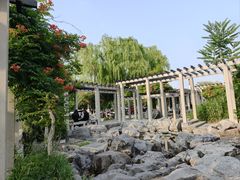 -百花洲