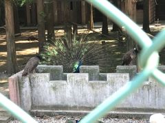 -南京金牛湖风景区