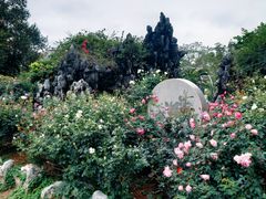 -人民公园(罗湖区)