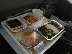 -德国汉莎航空公司