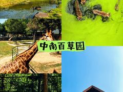 -中国大竹海景区