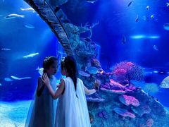 -沈阳海洋探索中心