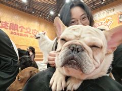 -和它·交个朋友·狗咖猫咖(爱琴海店)