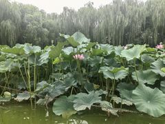 -东兴楼(通州店)