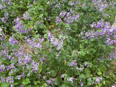 -玄武湖景区-情侣园游乐场