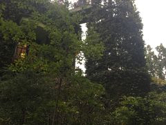 -三鹰之森吉卜力美术馆