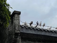 -磁器口古镇
