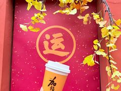 -八奇洞景区