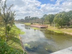 -上海海湾国家森林公园