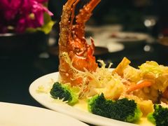 -三号黄浦会Canton Table