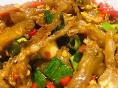 -壹盏灯(惠农店)