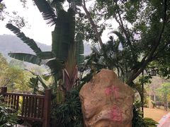 -大屏嶂森林公园
