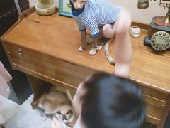 -猫色咖啡·猫咖