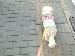 -派特宠物医院(圆融广场店)