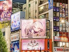 -秋叶原电器街
