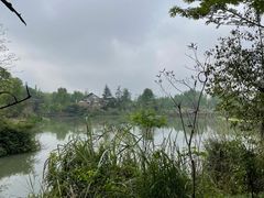 -桤木河湿地公园