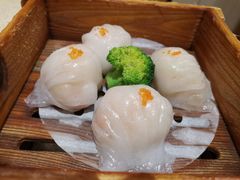 -正哥点心皇子(旺城广场店)