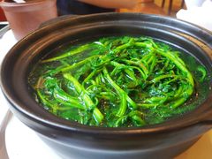 原味西洋菜-宜宾海鲜酒家·三十年老字号