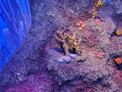 -沈阳海洋探索中心