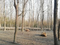 -溱湖国家湿地公园