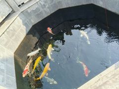 -西安市广仁寺