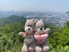 -紫金山山顶公园