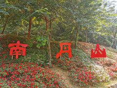 -南丹山森林王国