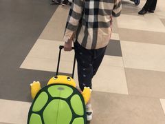 -新加坡瑞士史丹福酒店