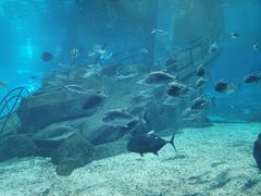 -福州罗源湾海洋世界旅游区