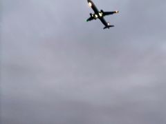 -澳门环岛游湾仔码头