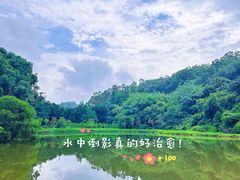 -番禺大夫山森林公园