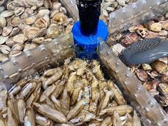 -汉江山料理级自助烤肉黑金冠(周口好吃城店)