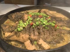 -老板恋上鱼(高新万达店)