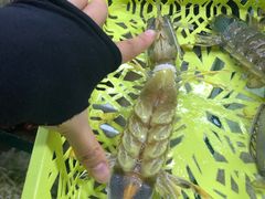 -班赞海鲜市场
