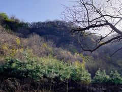 -抱龙峪