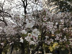 -玛格萝妮比萨屋(四平店)