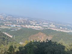 -杭州半山国家森林公园