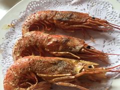 -山东八大碗山东老字号