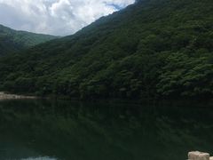 -龙道沟景区